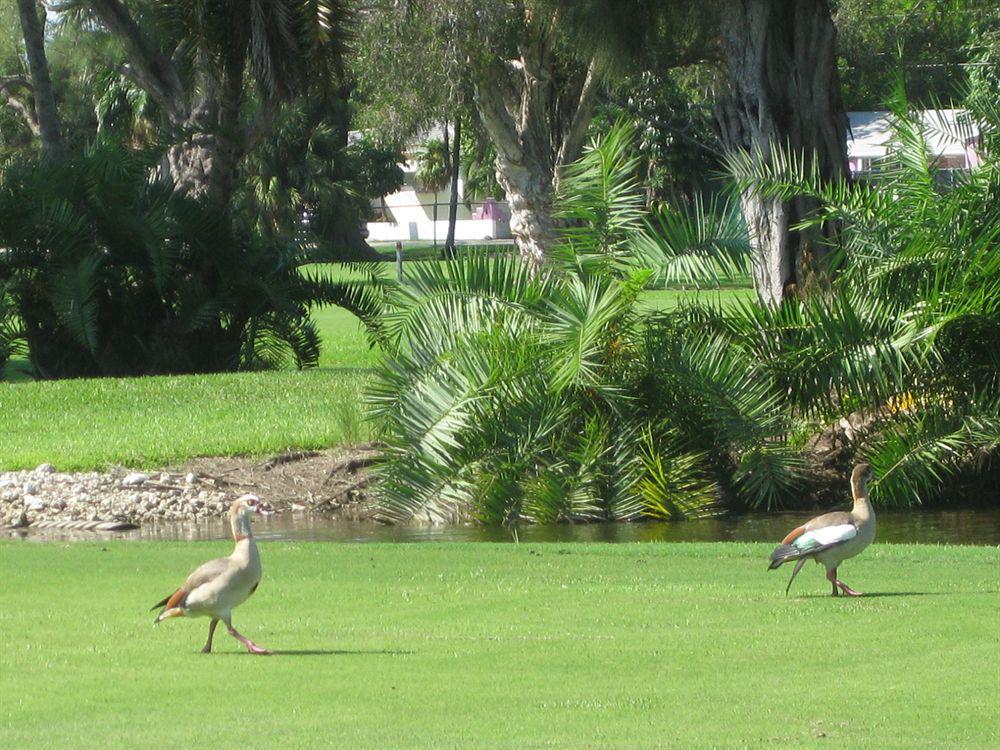 Hollywood Beach Golf Resort Exterior photo